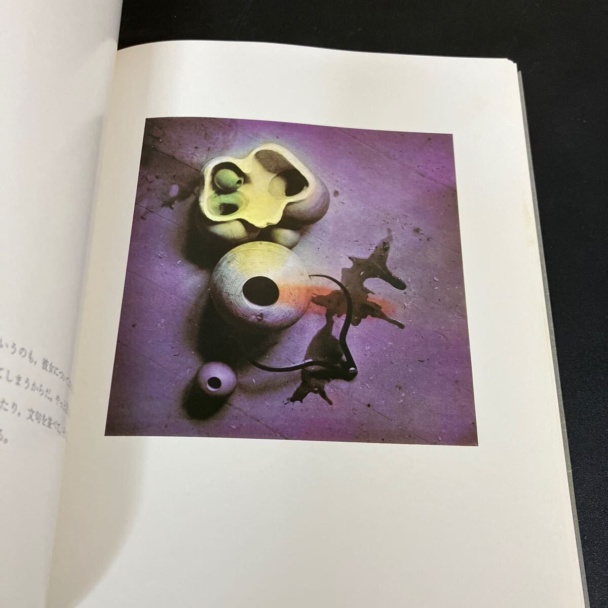 ハンス・ベルメール イマージュの解剖学 眼は未開の状態にある叢書4