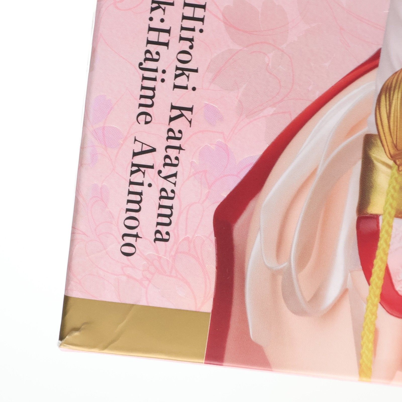 霞(かすみ) C2ver. Refined Edition DEAD OR ALIVE(デッドオアアライブ