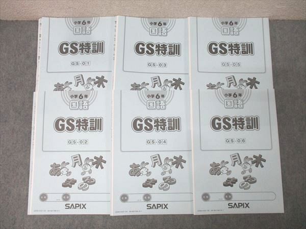 SAPIX サピックス 小学6年 国語 GS特訓 GS-01～06 計6回分セット