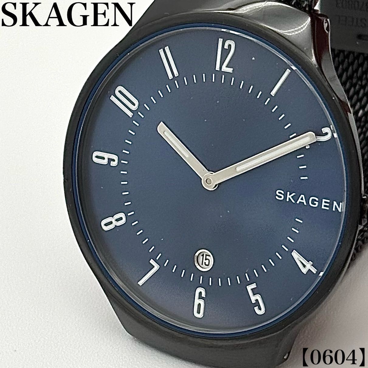 稼働品 Working item スカーゲン SKAGEN 腕時計 メンズ Mens クォーツ 