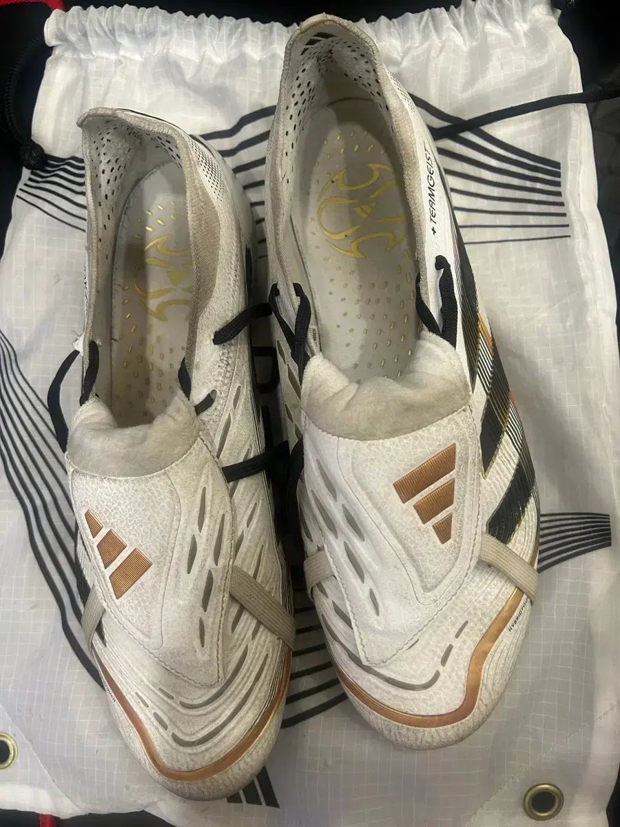 アディダス プレデターエリート FT FG ゴールハンター 25.5 FT FG | プレデター Elite adidas ELITE Predator アディダス 25.5 The