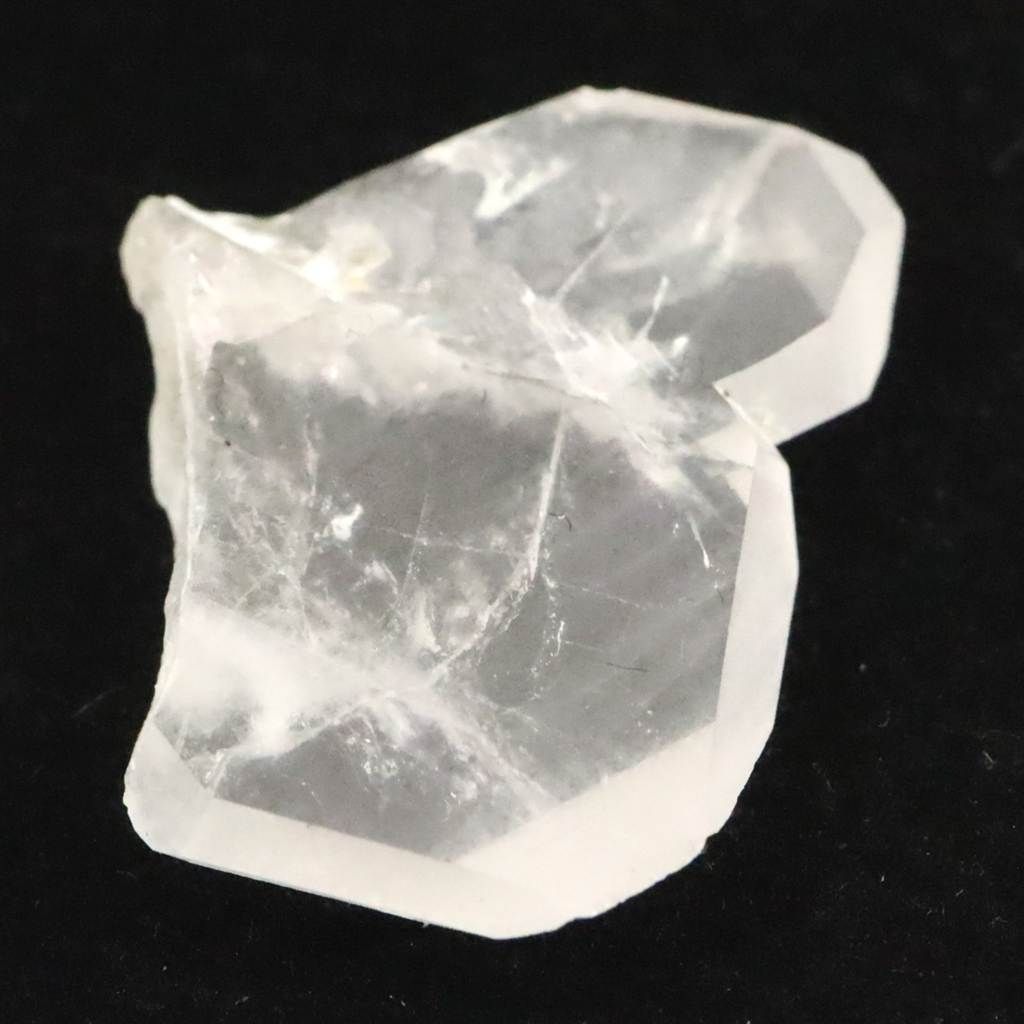 長崎県五島列島産