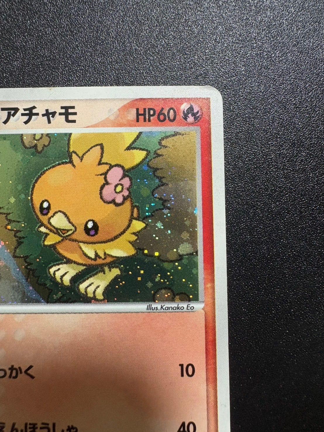 ポケパークのアチャモ プレミアムファイル - メルカリ