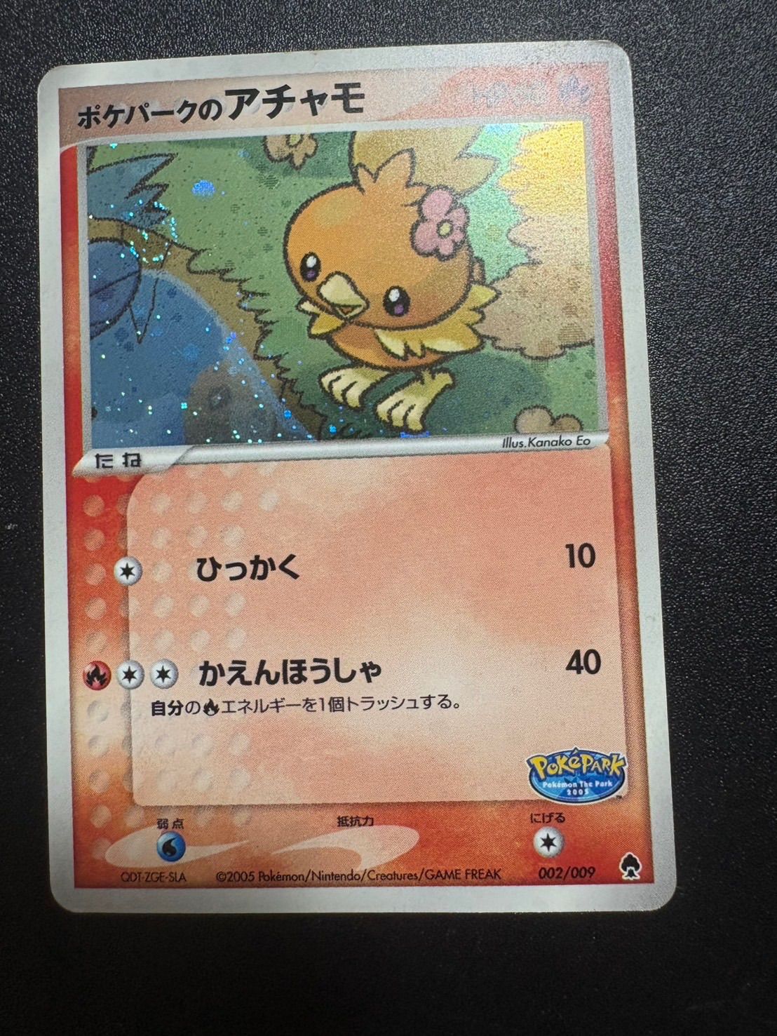 ポケパークのアチャモ プレミアムファイル - メルカリ