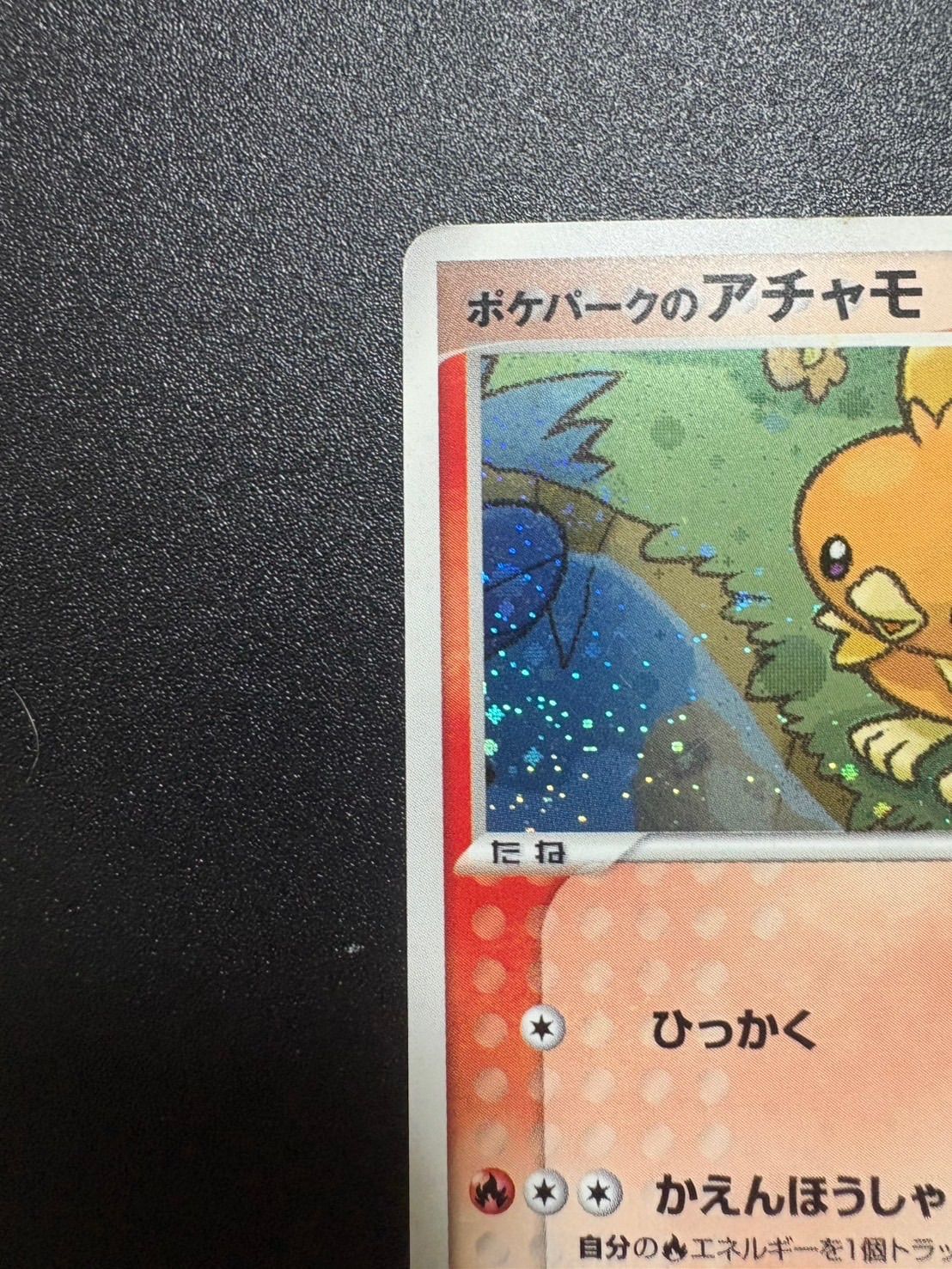 ポケパークのアチャモ プレミアムファイル - メルカリ