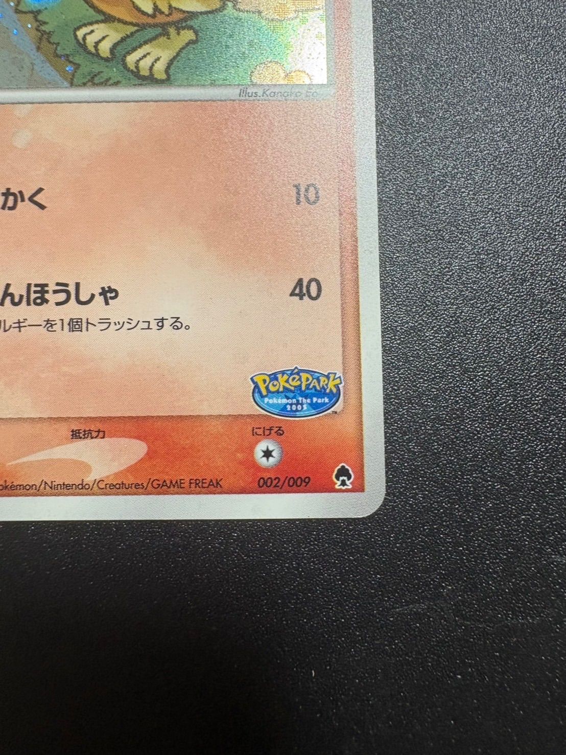 ポケパークのアチャモ プレミアムファイル - メルカリ