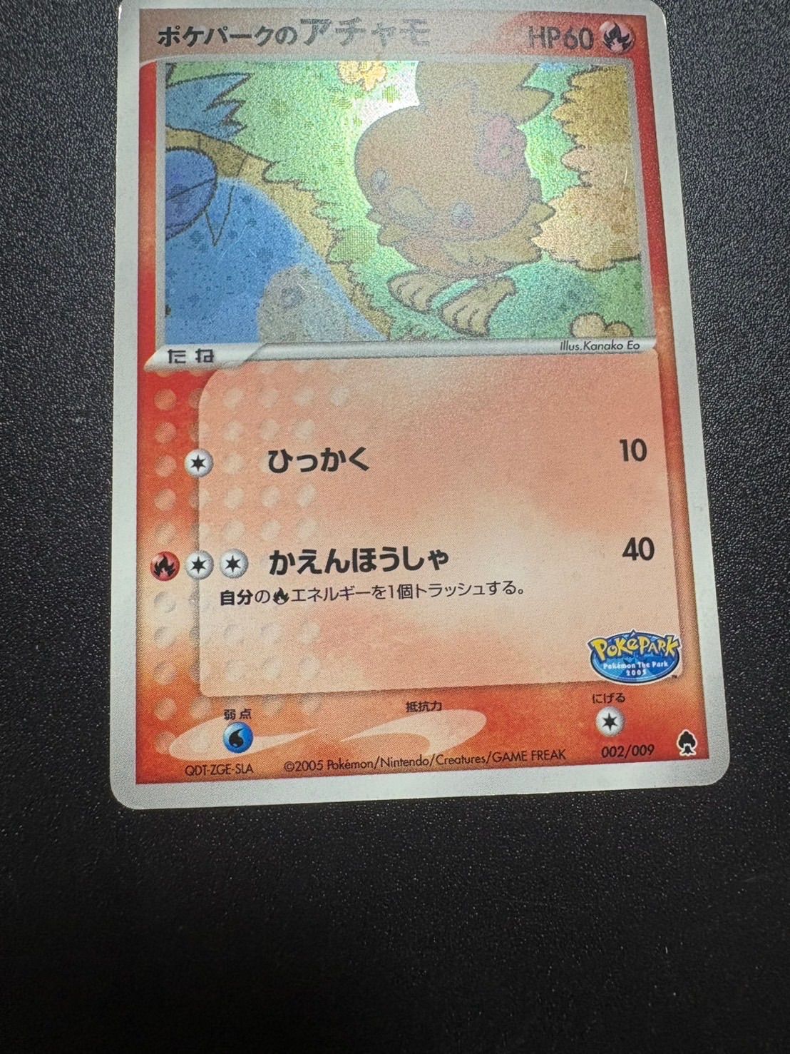 ポケパークのアチャモ プレミアムファイル - メルカリ