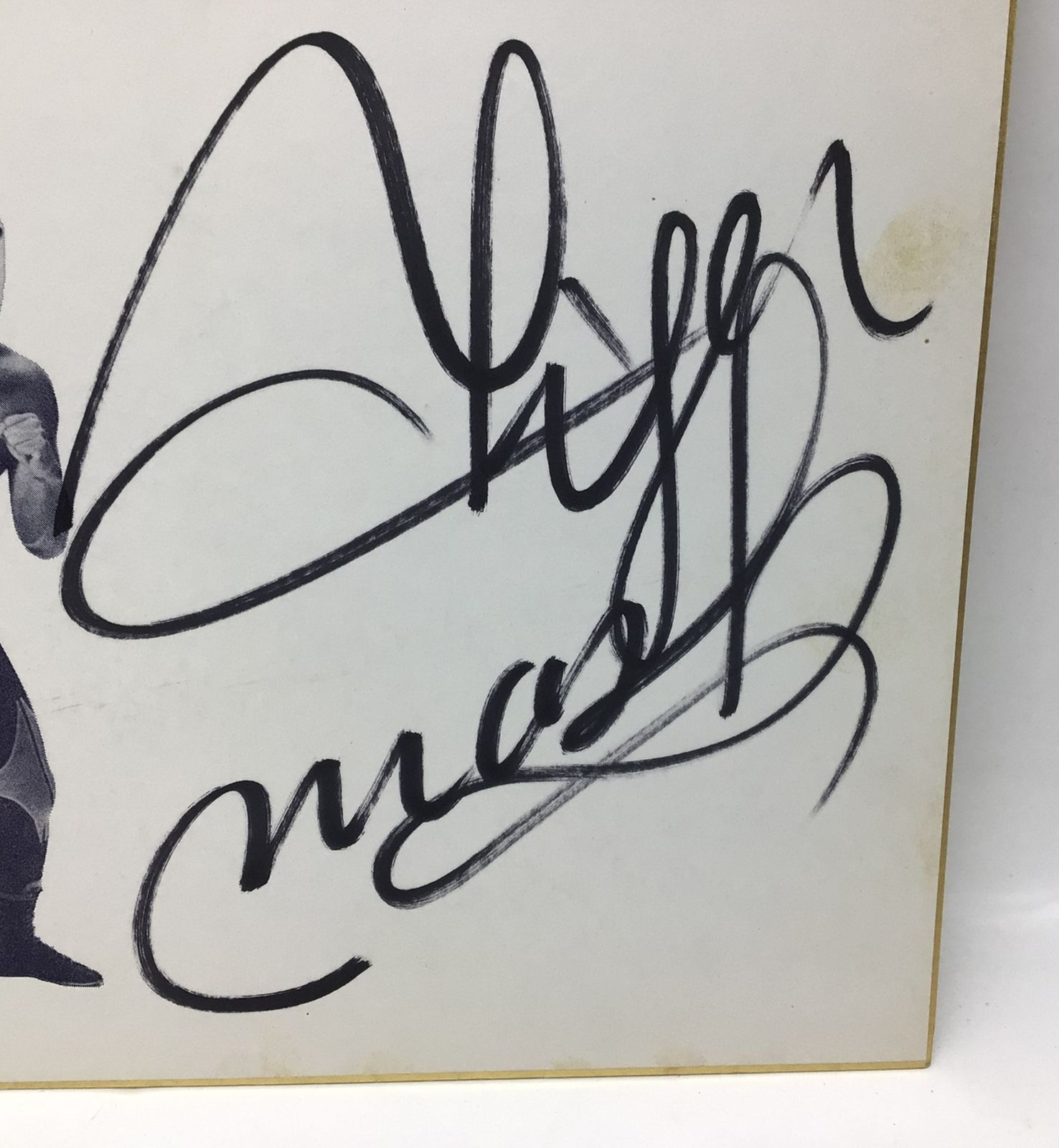 2157 【印刷入り】 2代目 タイガーマスク 直筆サイン色紙 三沢光晴