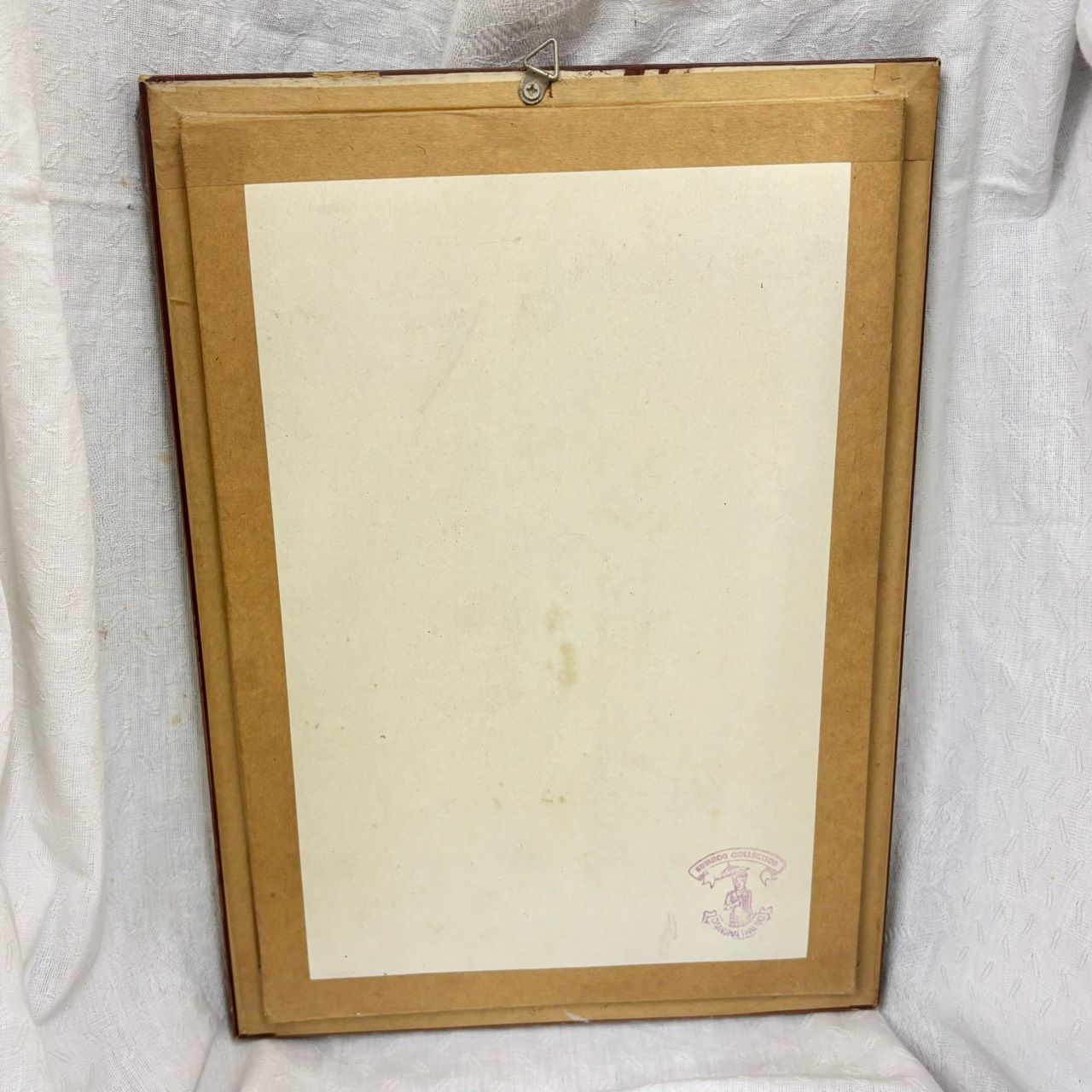 413 蝶 標本 額入り アトラスオオカブトガ 標本額 大型 Attacus atlas