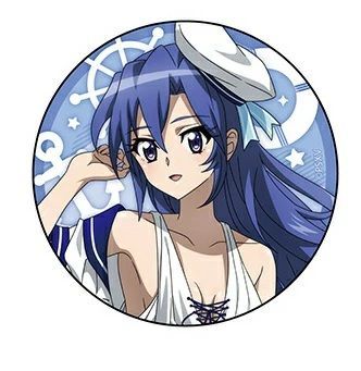戦姫絶唱シンフォギアXV 缶バッジ マリンセーラー水着 雪音クリス 風鳴翼 戦姫絶唱シンフォギアXV 描き下ろしトレーディング缶バッジ