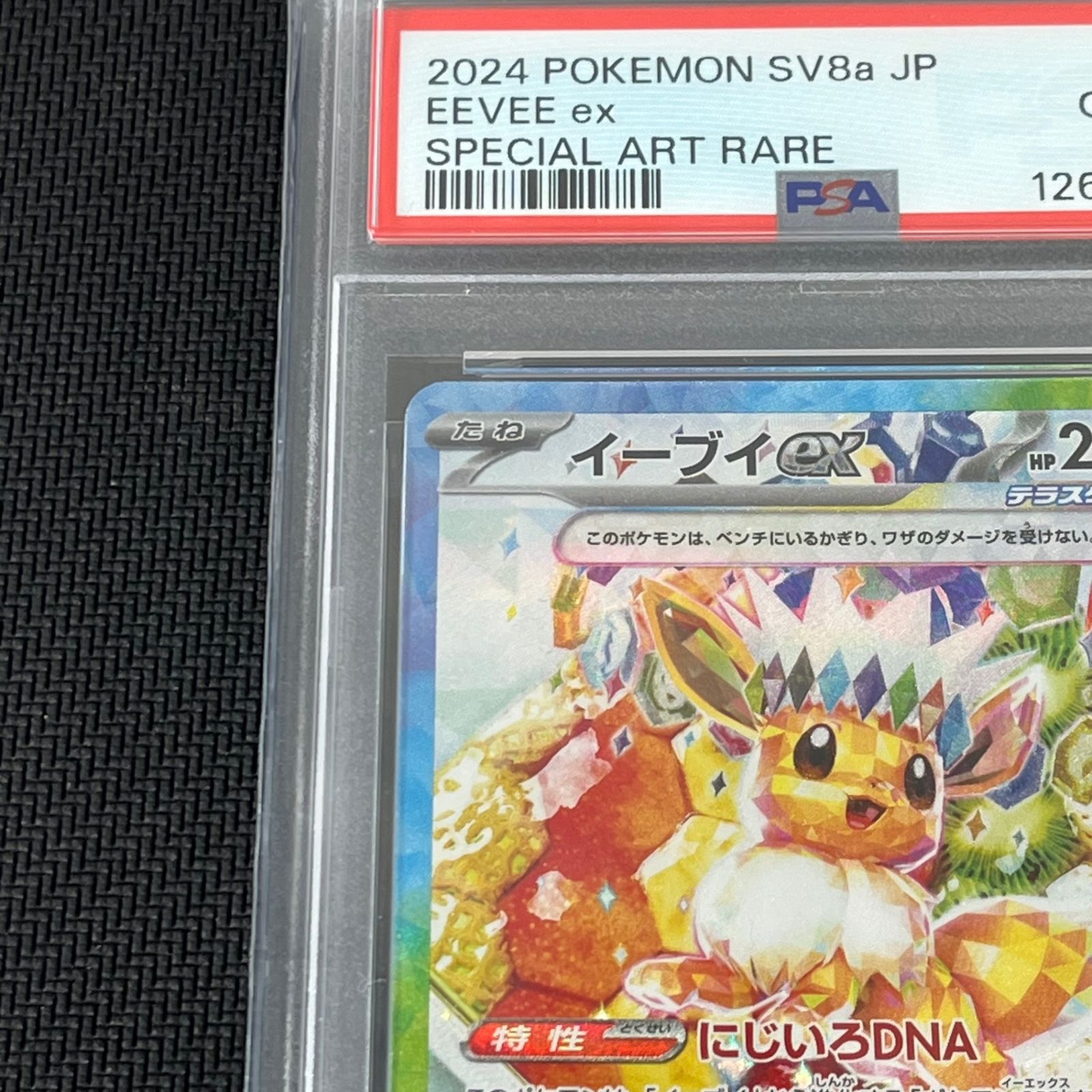 PSA10 ポケカ イーブイex SAR ケーキ 224/187/SV8A/B テラスタルフェス