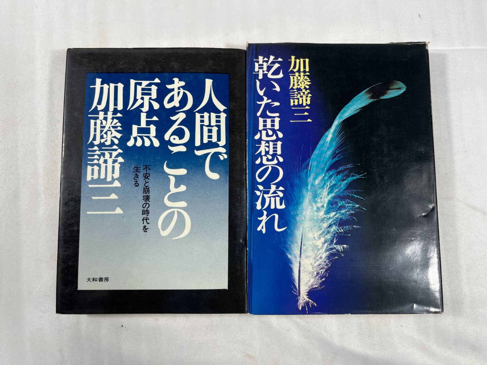 【昭和の名著】 大和書房 加藤諦三文庫11冊 セット割引お値打ちセット 加藤諦三 書籍 2冊セット 大和書房 人間であることの原点 いんなあとり