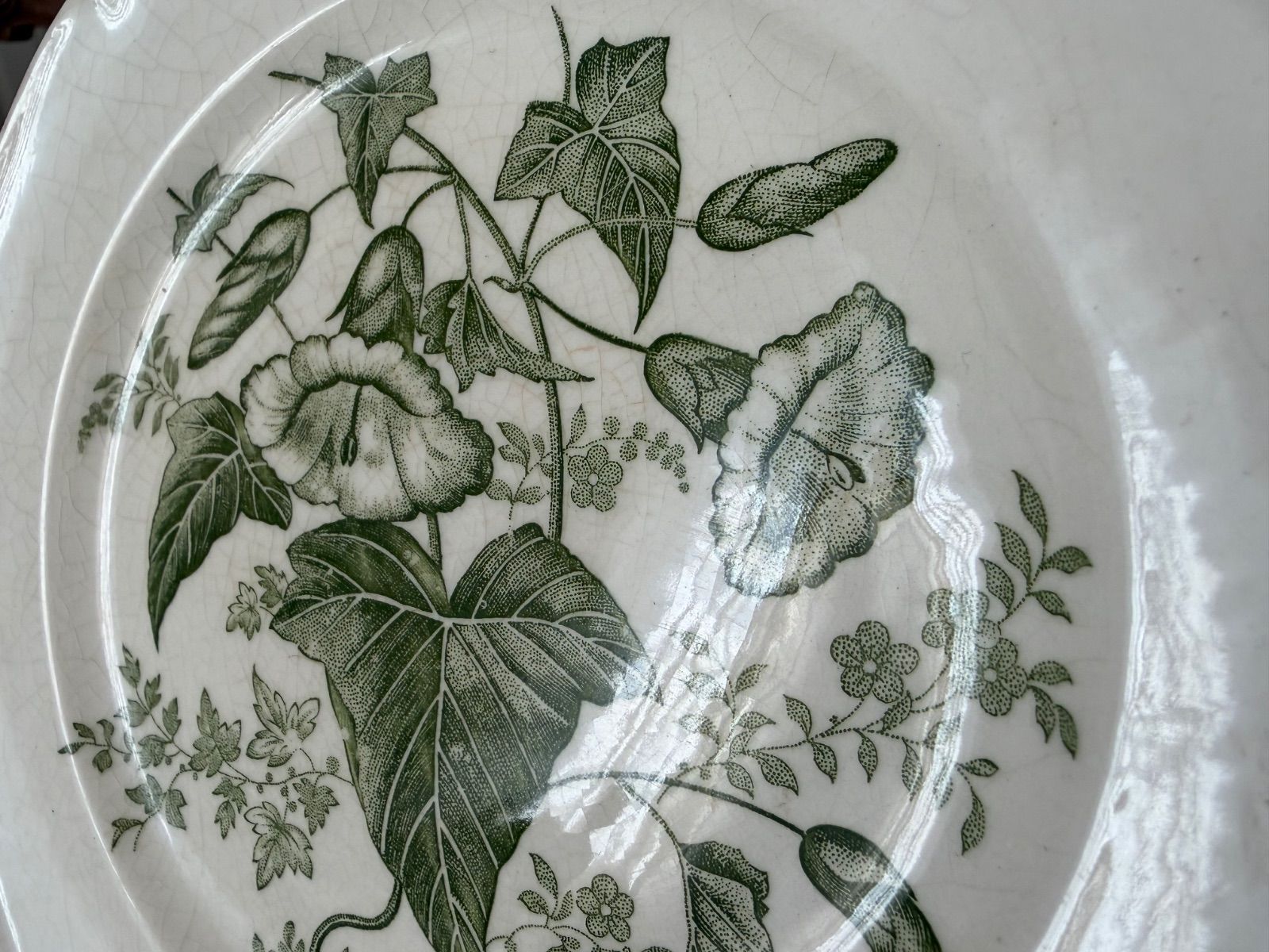 2枚セット）フランスアンティーク GIEN ジアンのボタニカルデザート