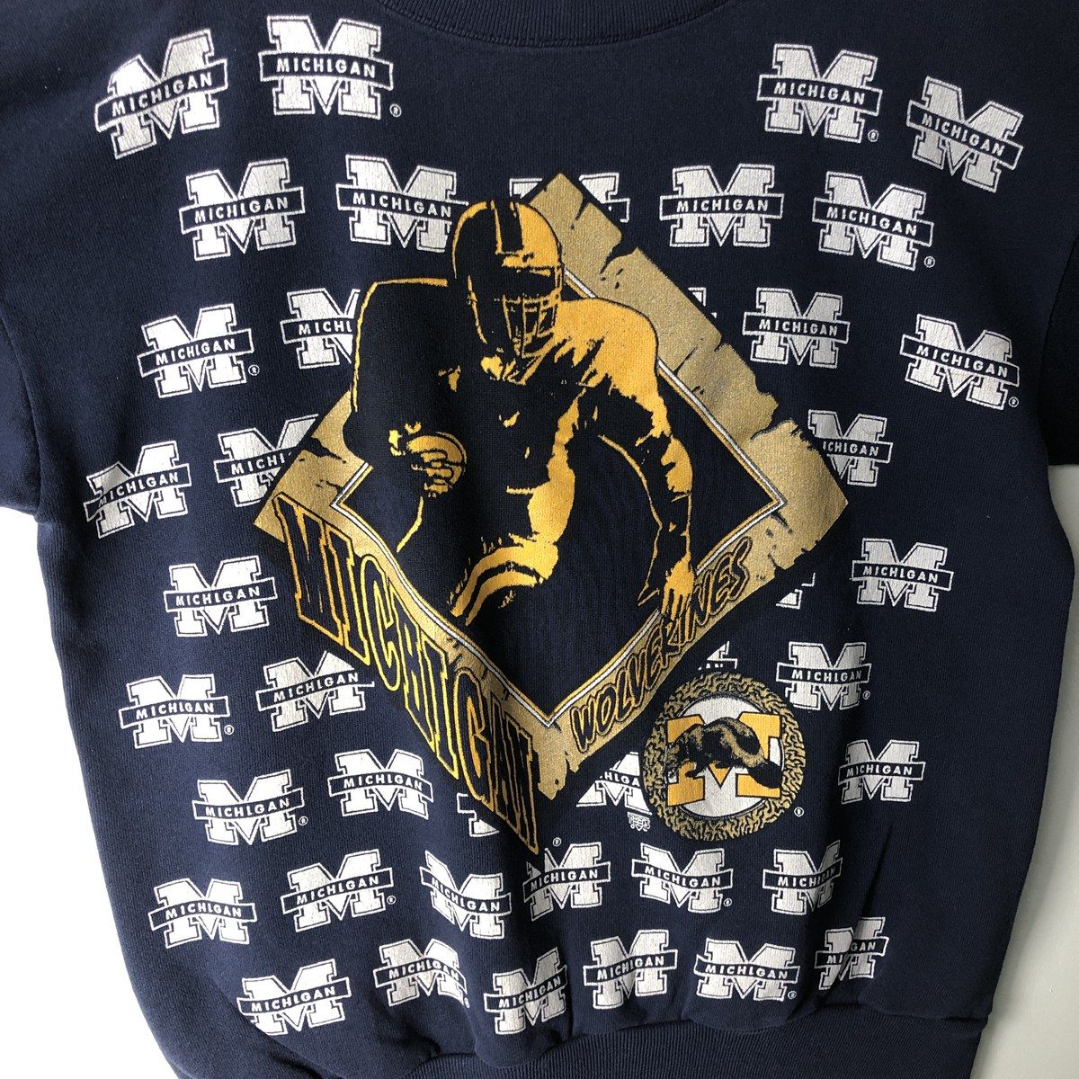 古着 90年代 タルテックス Tultex MICHIGAN ミシガン大学 カレッジ