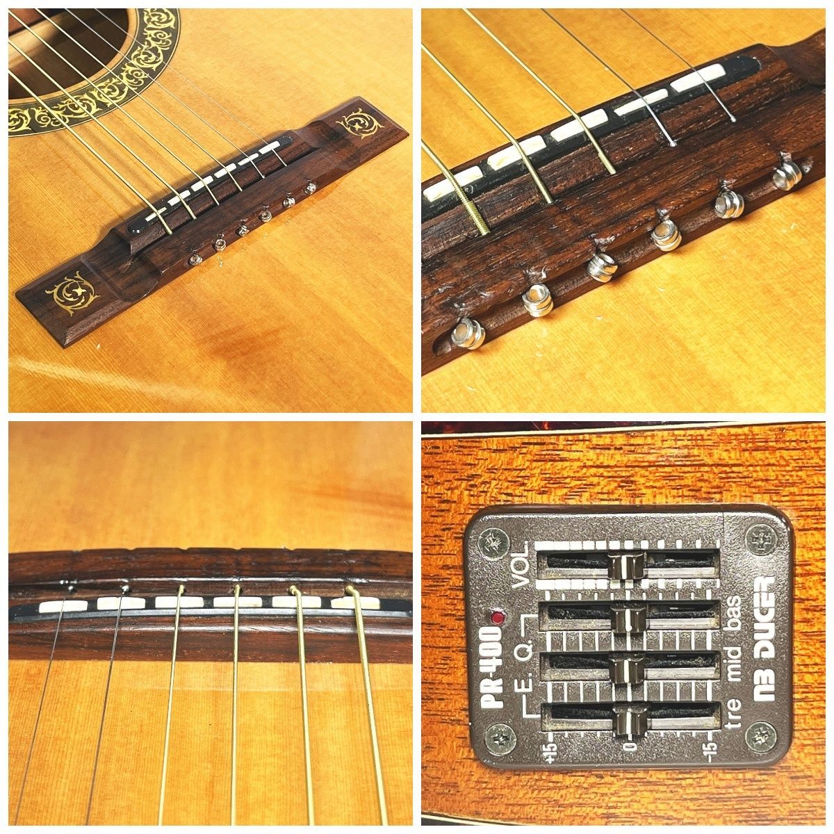 Aria The Sandpiper Deluxe アリア サンドパイパーデラックス エレアコ