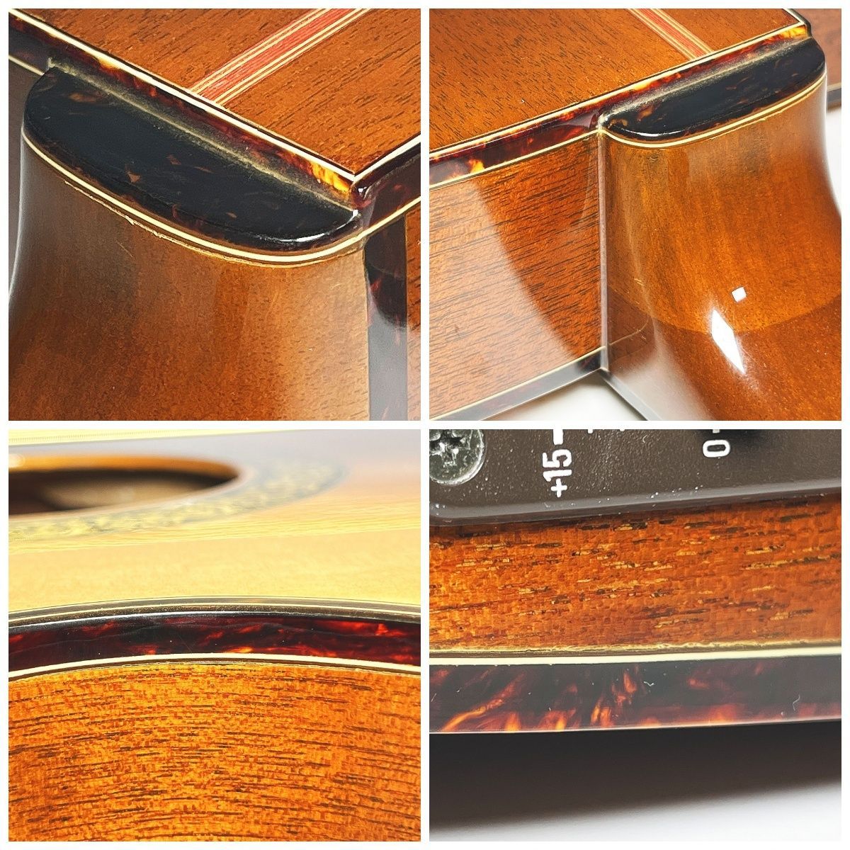 Aria The Sandpiper Deluxe アリア サンドパイパーデラックス エレアコ