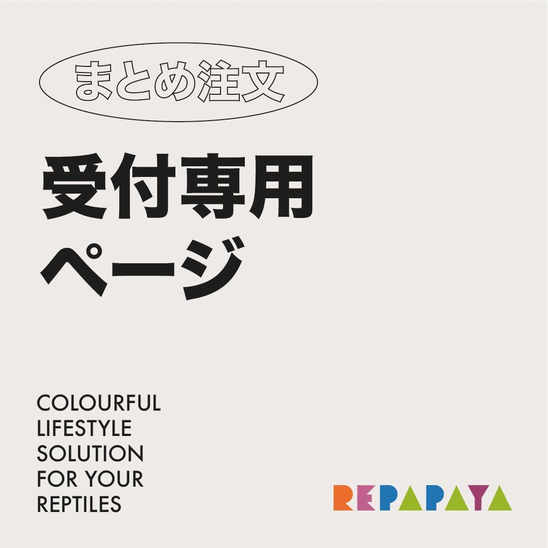 【ひら様】シェルター ハンガー 小皿/5点