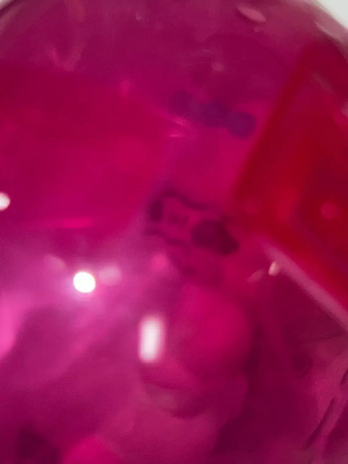 カプセル含む未開封おぱんちゅおぱんちゅうさぎ 転倒ガチャ フィギュア