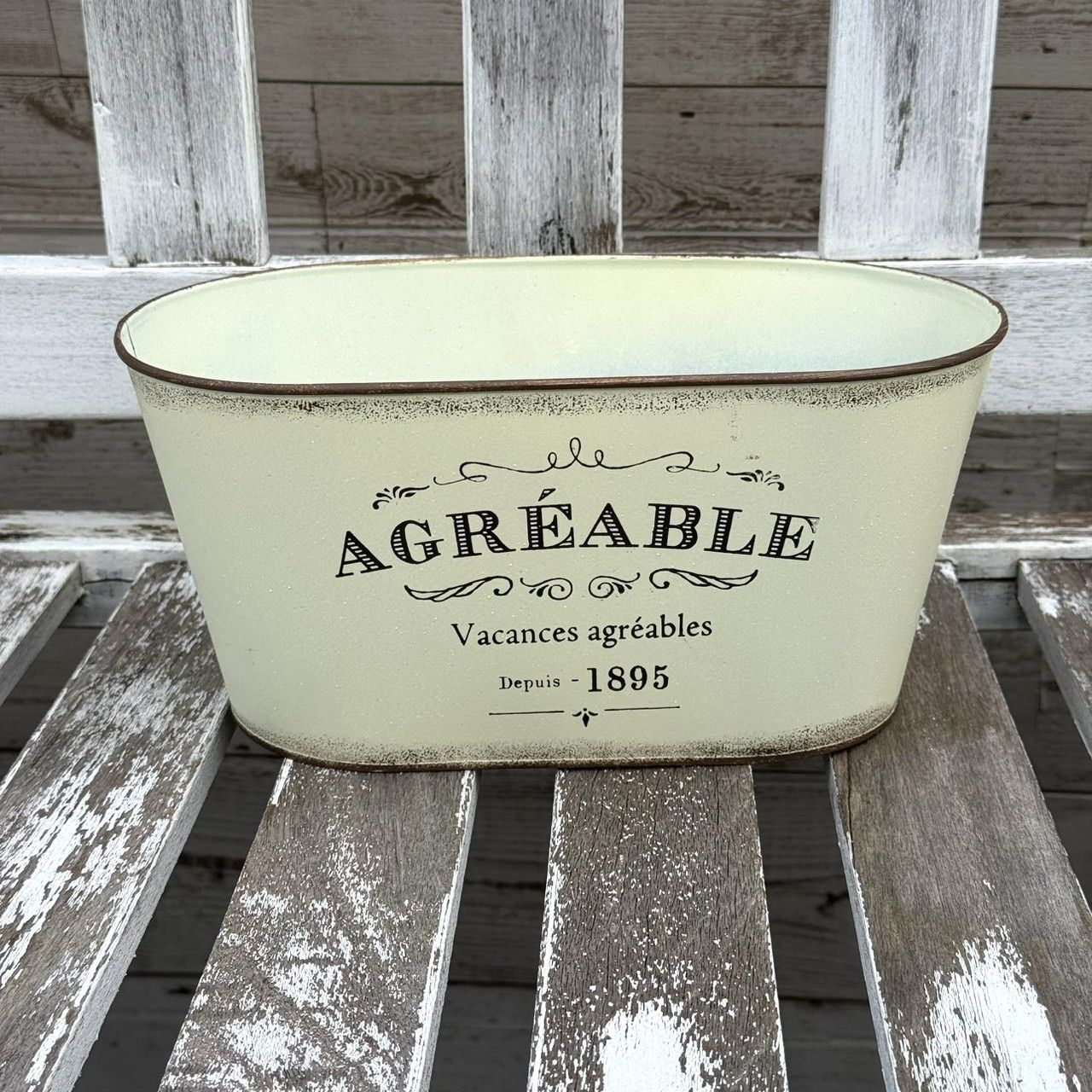 パステリーナ」の春色ナチュラル寄せ植え※寄せ植え完成品 花苗 花 お花