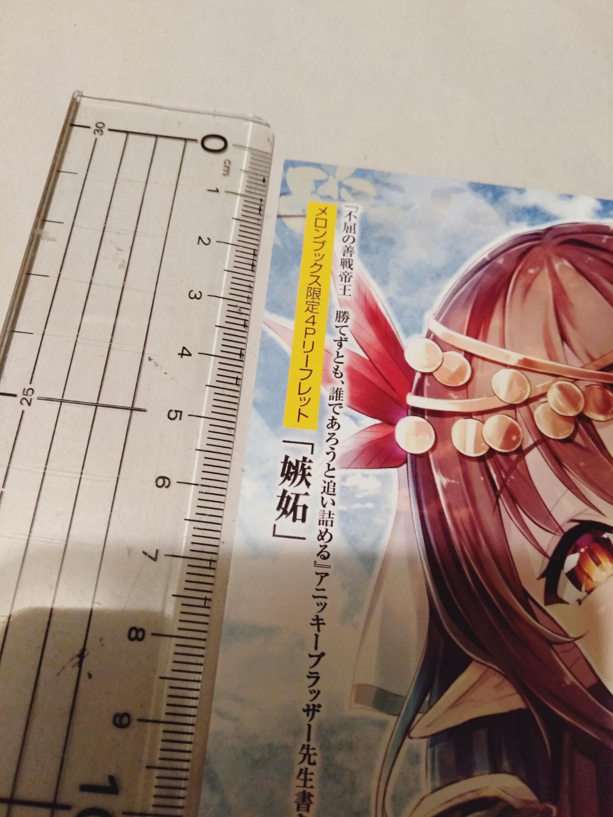 リーフレットのみ】不屈の善戦帝王 勝てずとも、誰であろうと