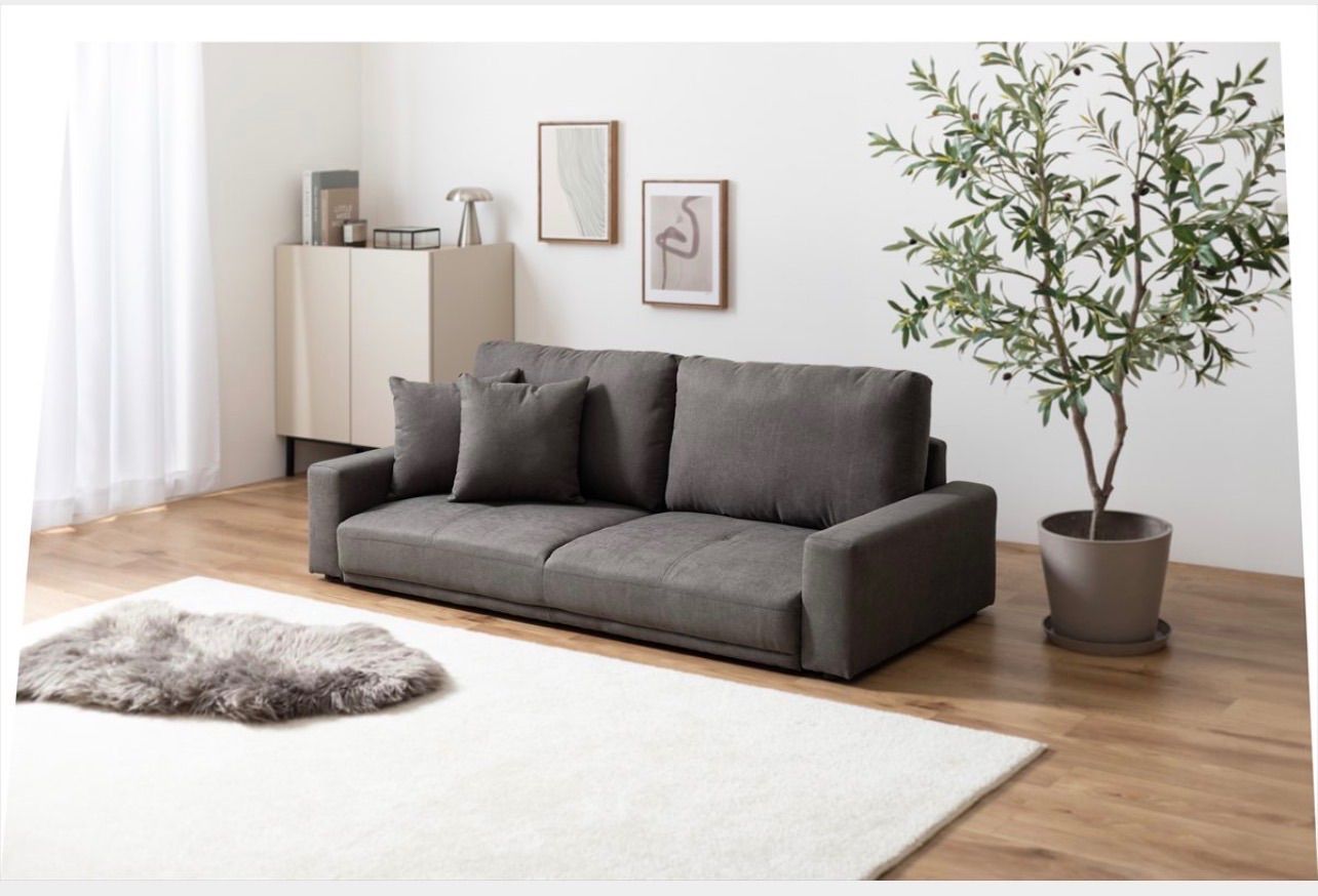  幅166cm 2.5人掛けローソファ 収納付きソファベッド 2人掛け 3人掛けソファ ソファ ソファベッド