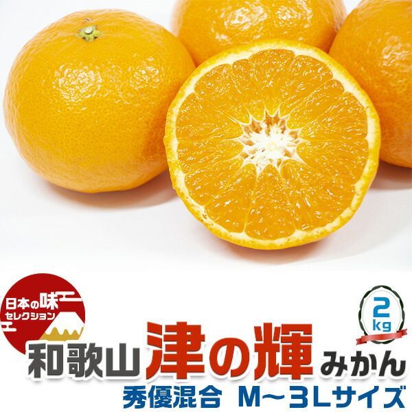 津之輝　Ｌと2Lサイズ混合秀品　10キロ入 長崎県より産地直送 JA長崎せいひ 津之輝(つのかがやき) 3LからLサイズ