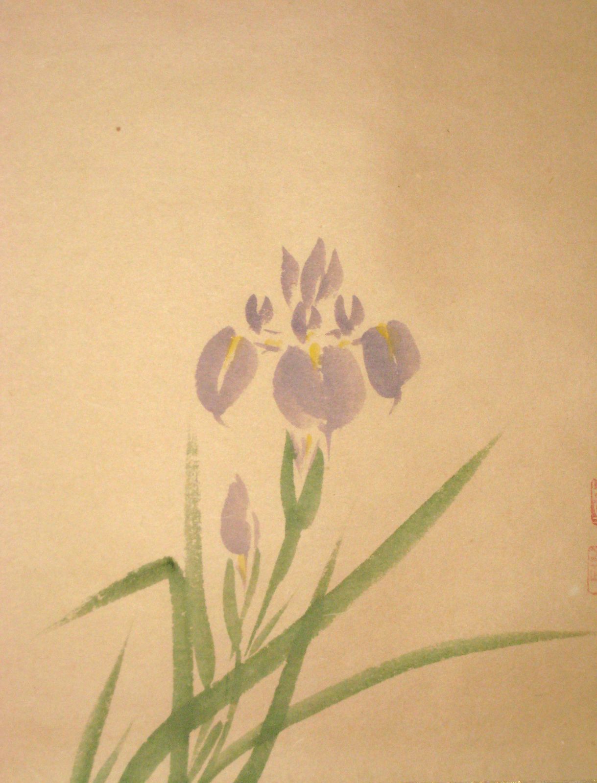 真筆】茶掛け 茶掛 菖蒲画賛 薫風自南来◇大徳寺派 多福山 瑞泉寺 前