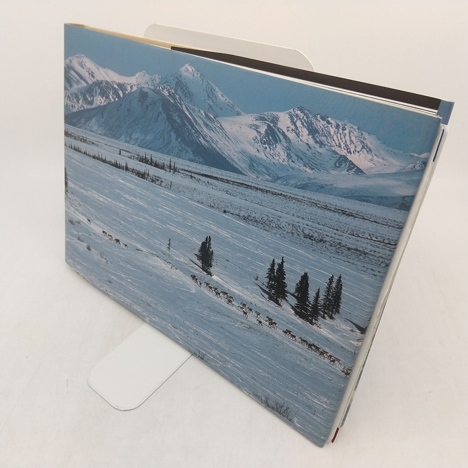 全巻セット】星野道夫の仕事 全4巻セット 朝日新聞社 カリブーの旅