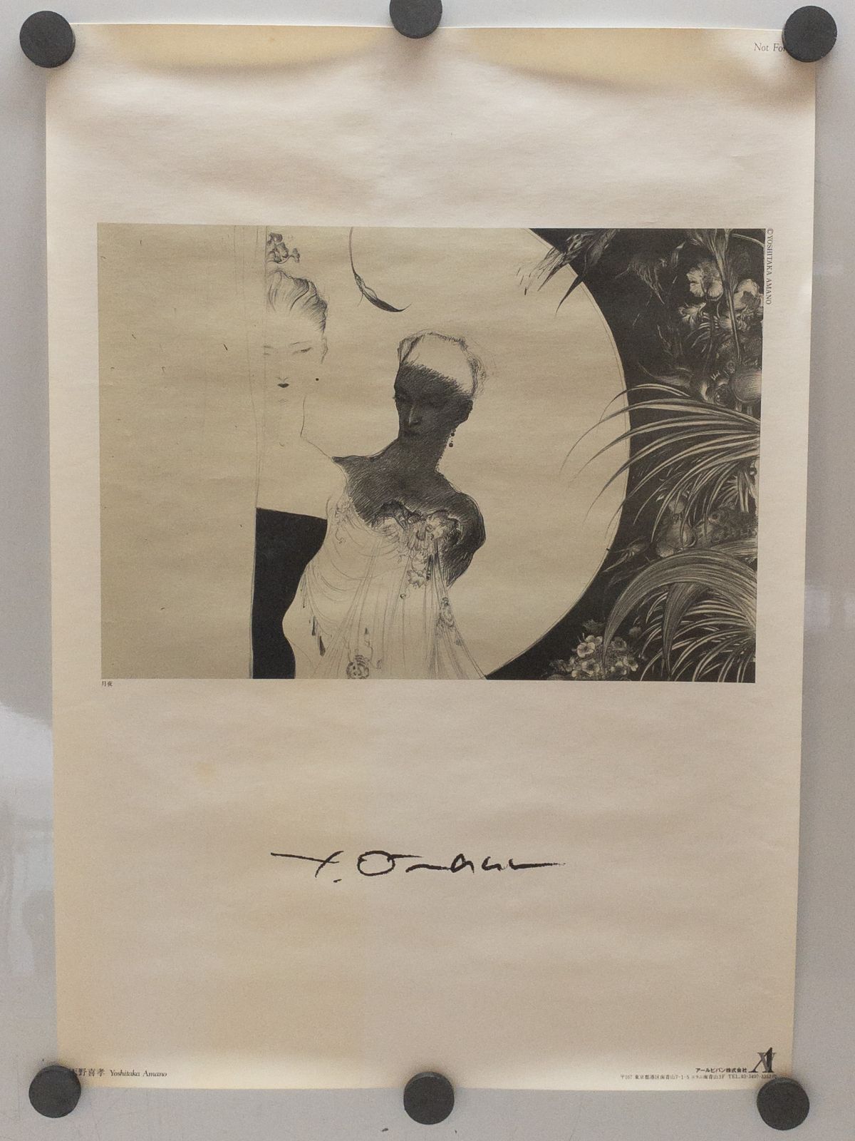 天野喜孝 月夜 B3ポスター 36×51cm 非売品 アールビバン ☆ - メルカリ