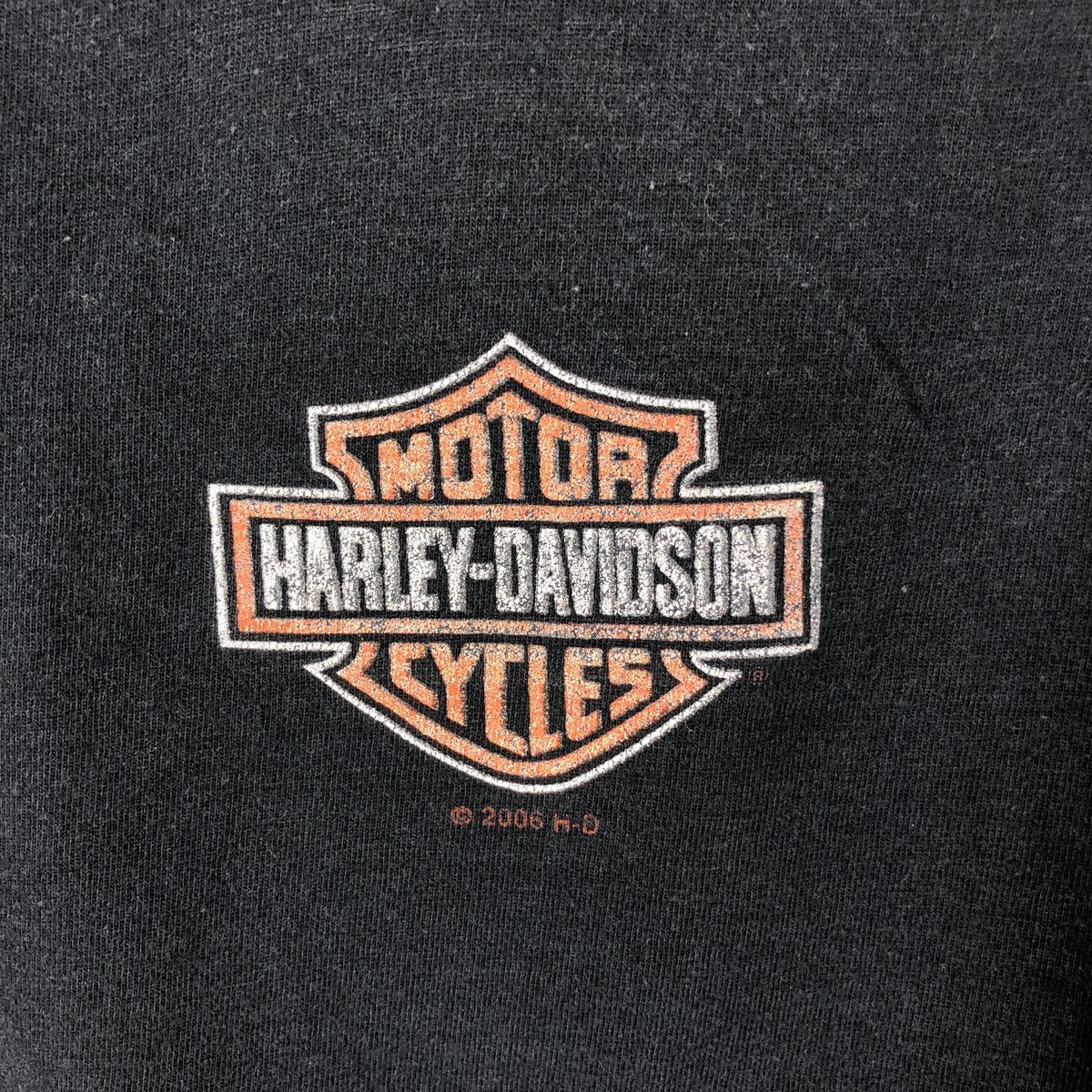 未使用保管品 HARLEY-DAVIDSONロゴジャケット ハーレーフレアーロゴ 古着 00年代 ハーレーダビッドソン Harley-Davidson 鷲柄 イーグル柄