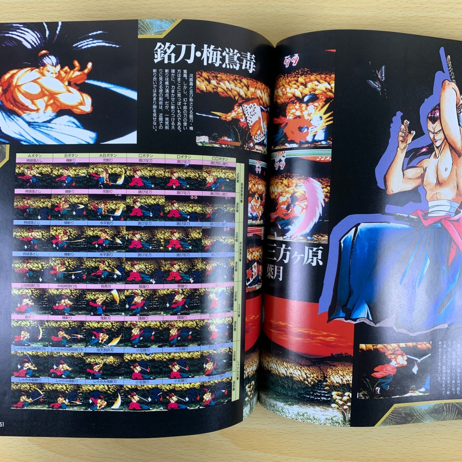 攻略本】真サムライスピリッツ 覇王丸地獄変 真侍魂修羅絵巻 ゲーム