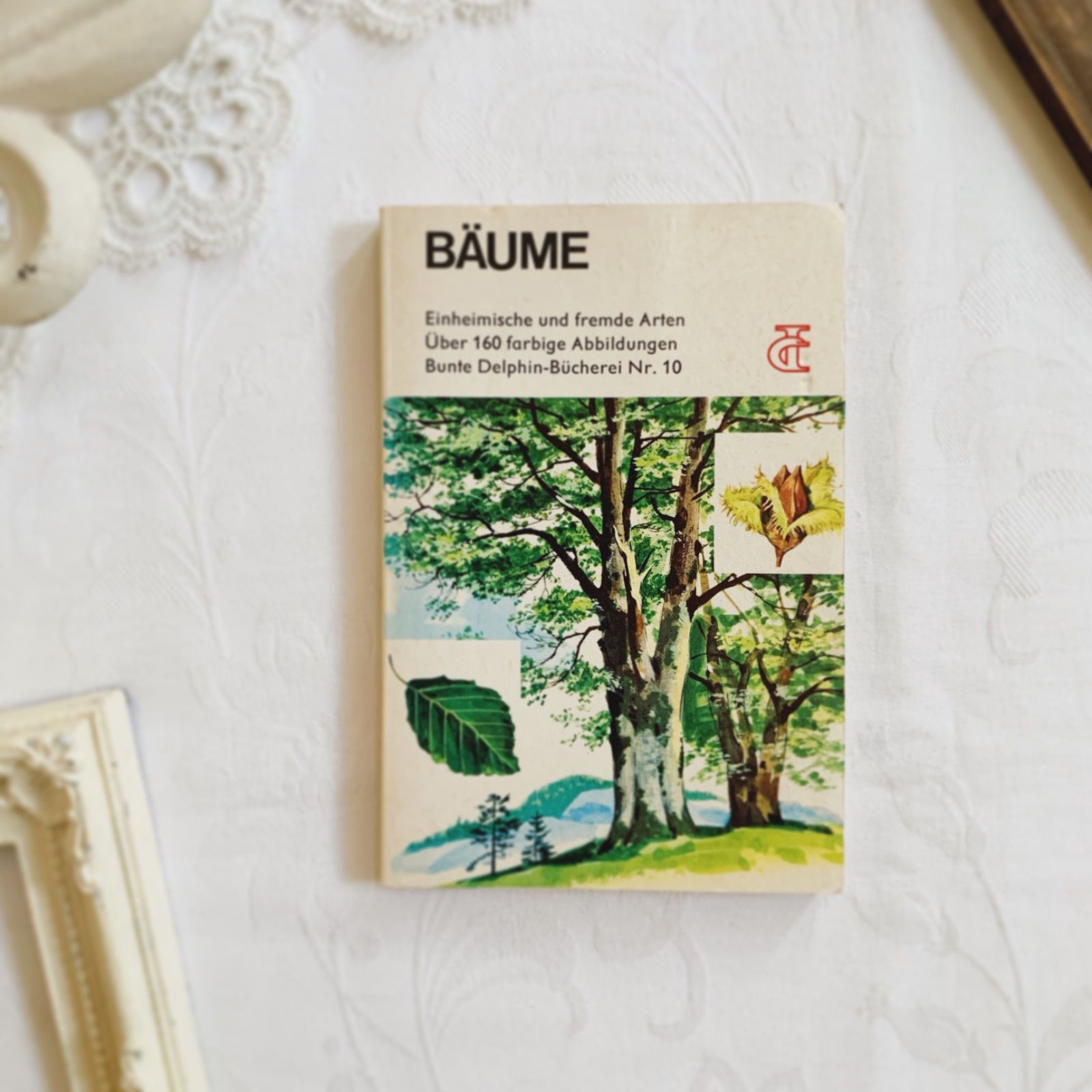 1970年 美しい樹木のビンテージ図鑑 BÄUME ドイツ古書 洋書