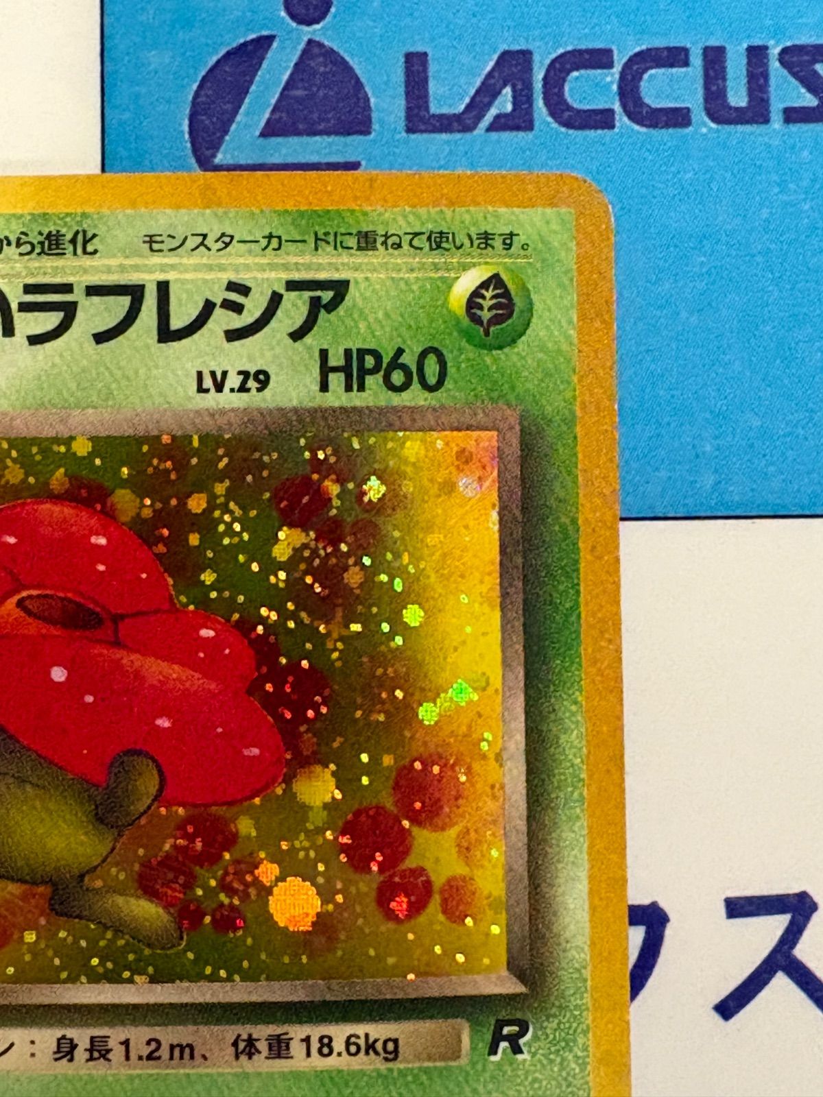 ポケモンカード/ポケカ わるいラフレシア 旧裏 拡張パック 第4弾