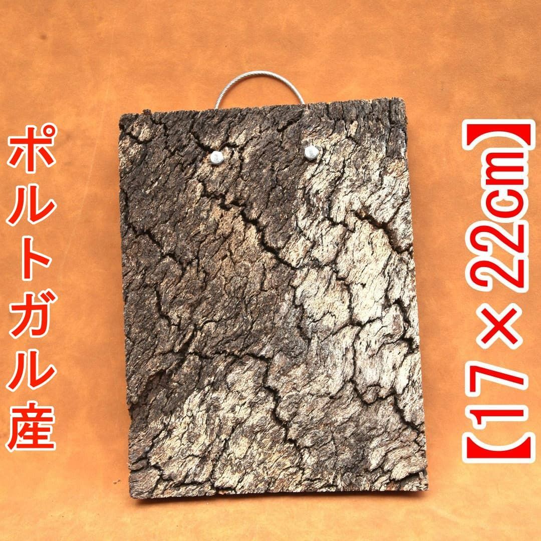 A692 ポルトガル産 高密度加工 コルク板 コルク樹皮 バージンコルク