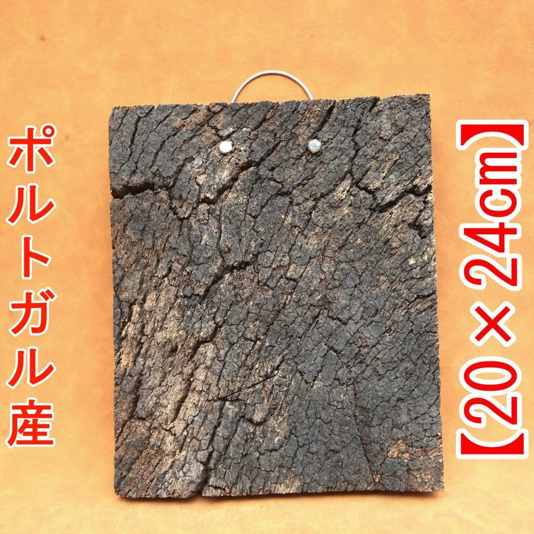 A679 ポルトガル産 高密度加工 コルク板 コルク樹皮 バージンコルク