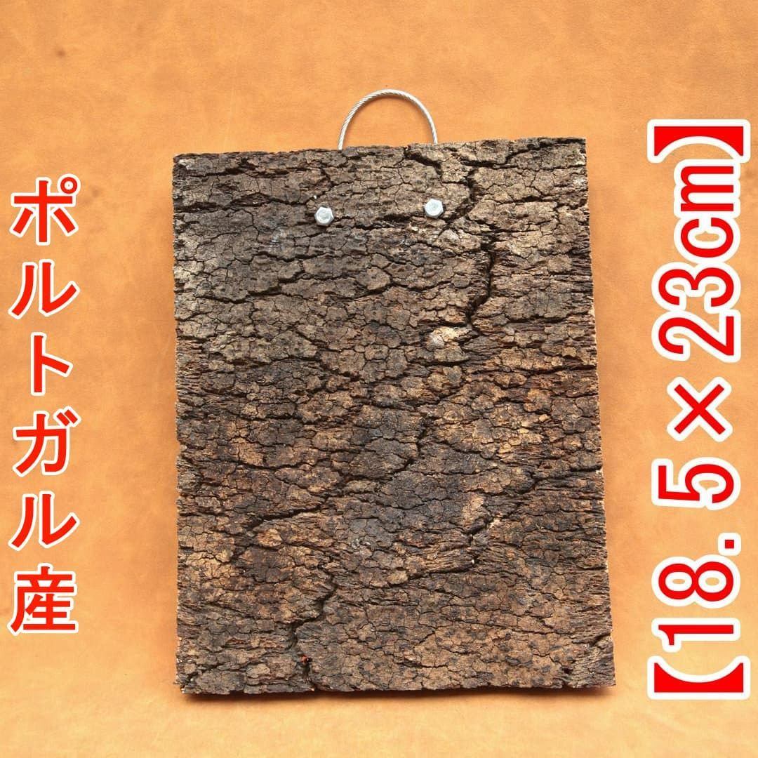 A684 ポルトガル産 高密度加工 コルク板 コルク樹皮 バージンコルク