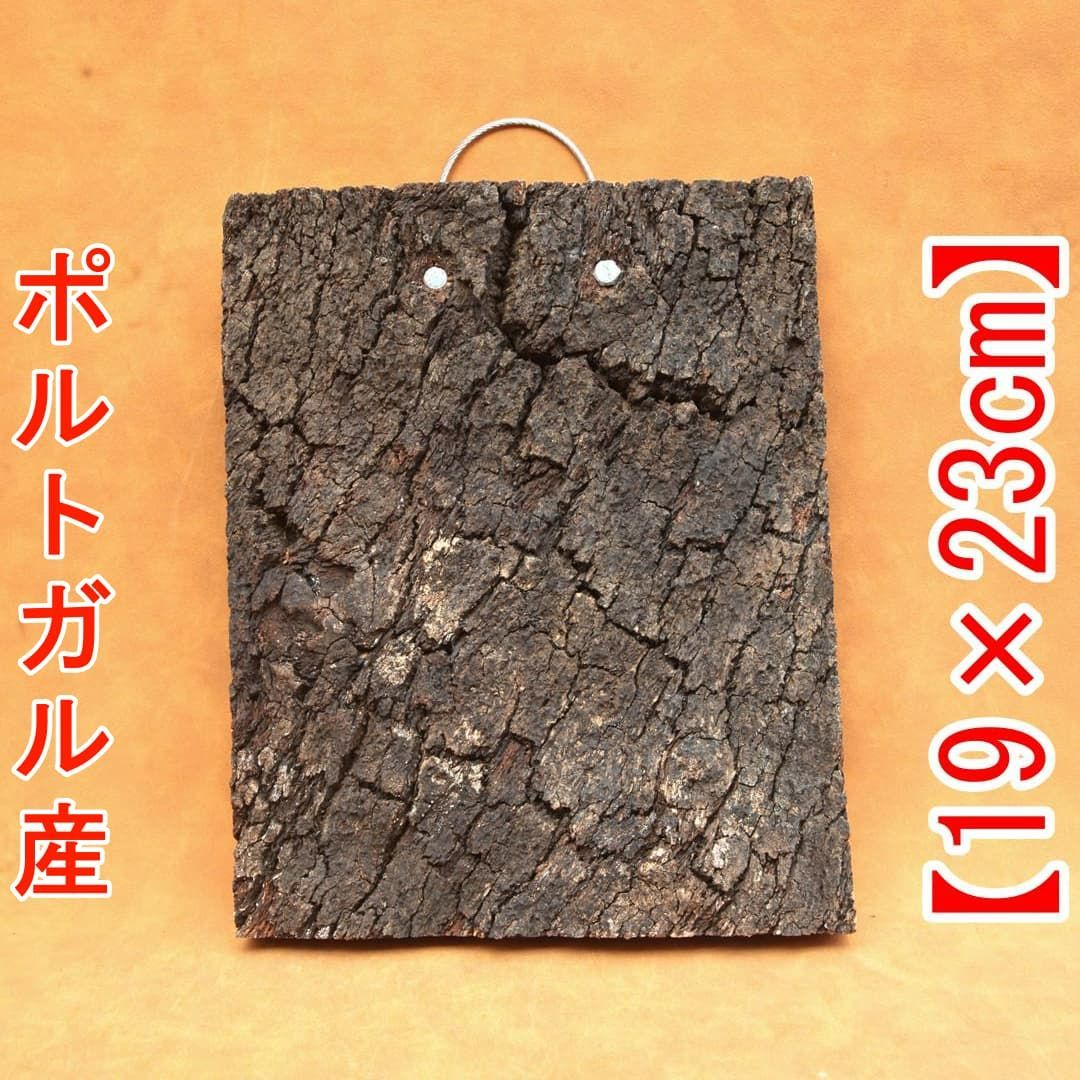 A695 ポルトガル産 高密度加工 コルク板 コルク樹皮 バージンコルク