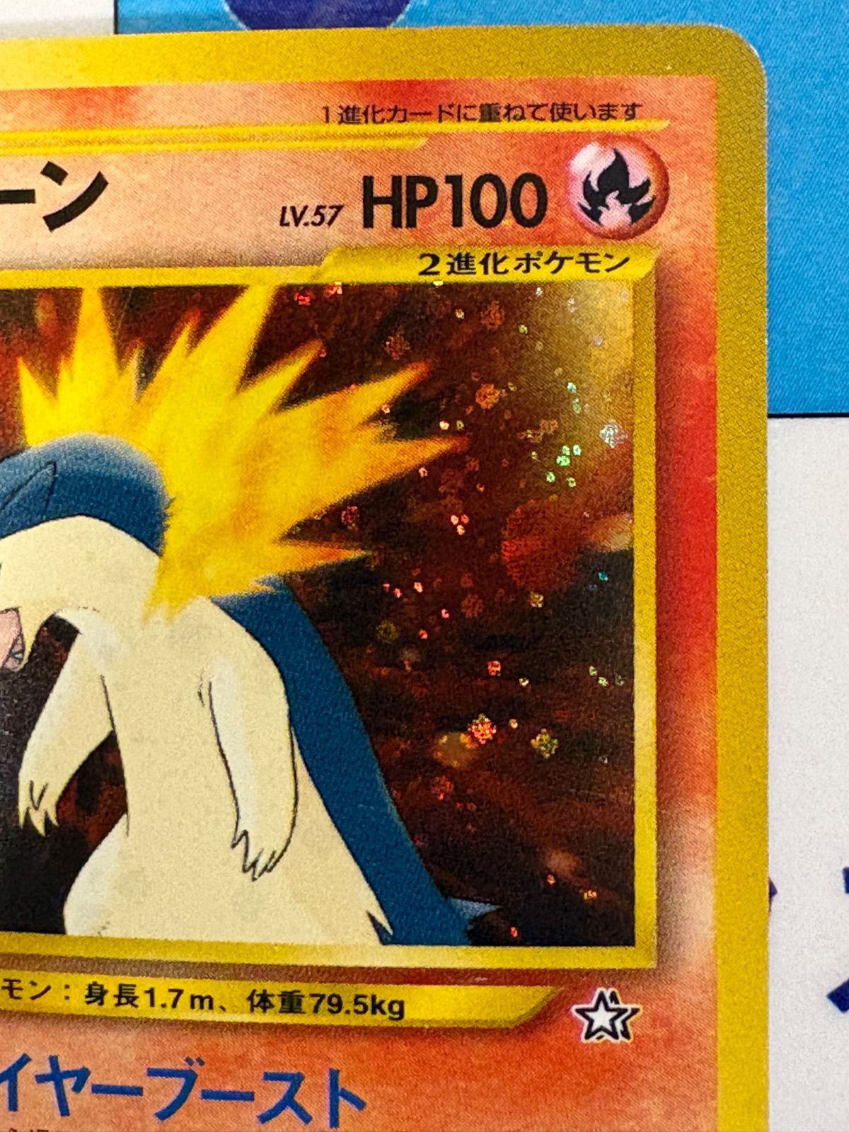 ポケモンカード/ポケカ バクフーン 旧裏 プレミアムファイル PROMO 第1