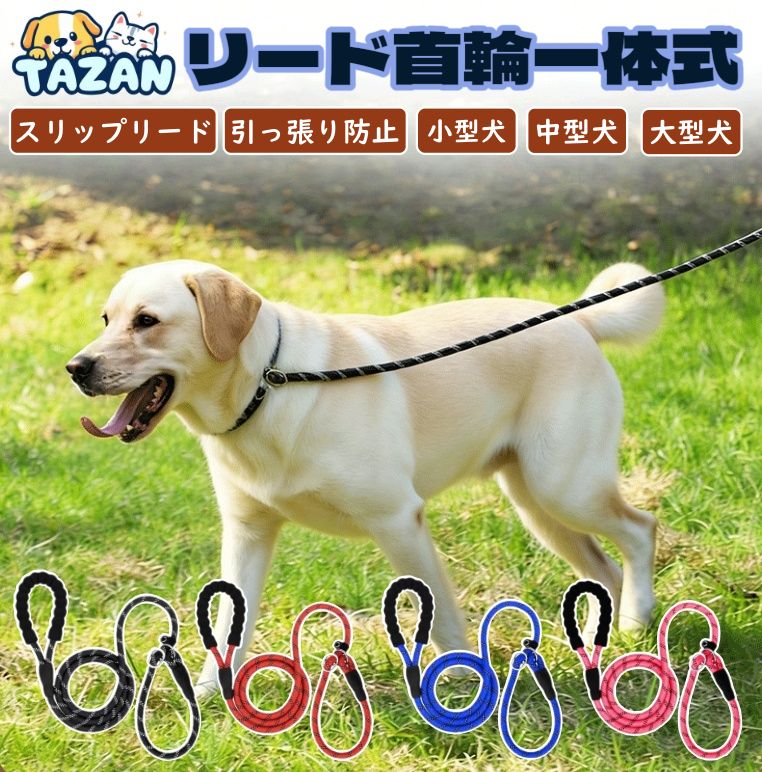 犬リード スリップリード リード首輪セット リード首輪一体式 ハーフ