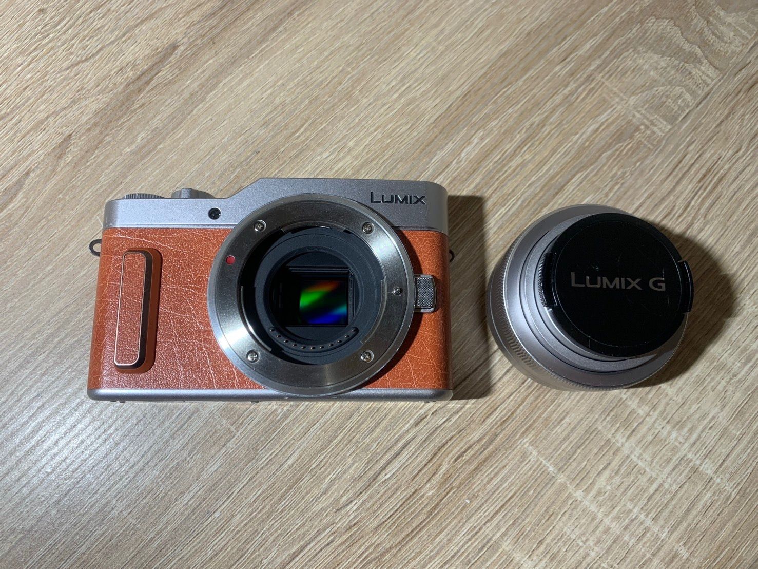 Panasonic LUMIX DC-GF10 + レンズ H-FS12032