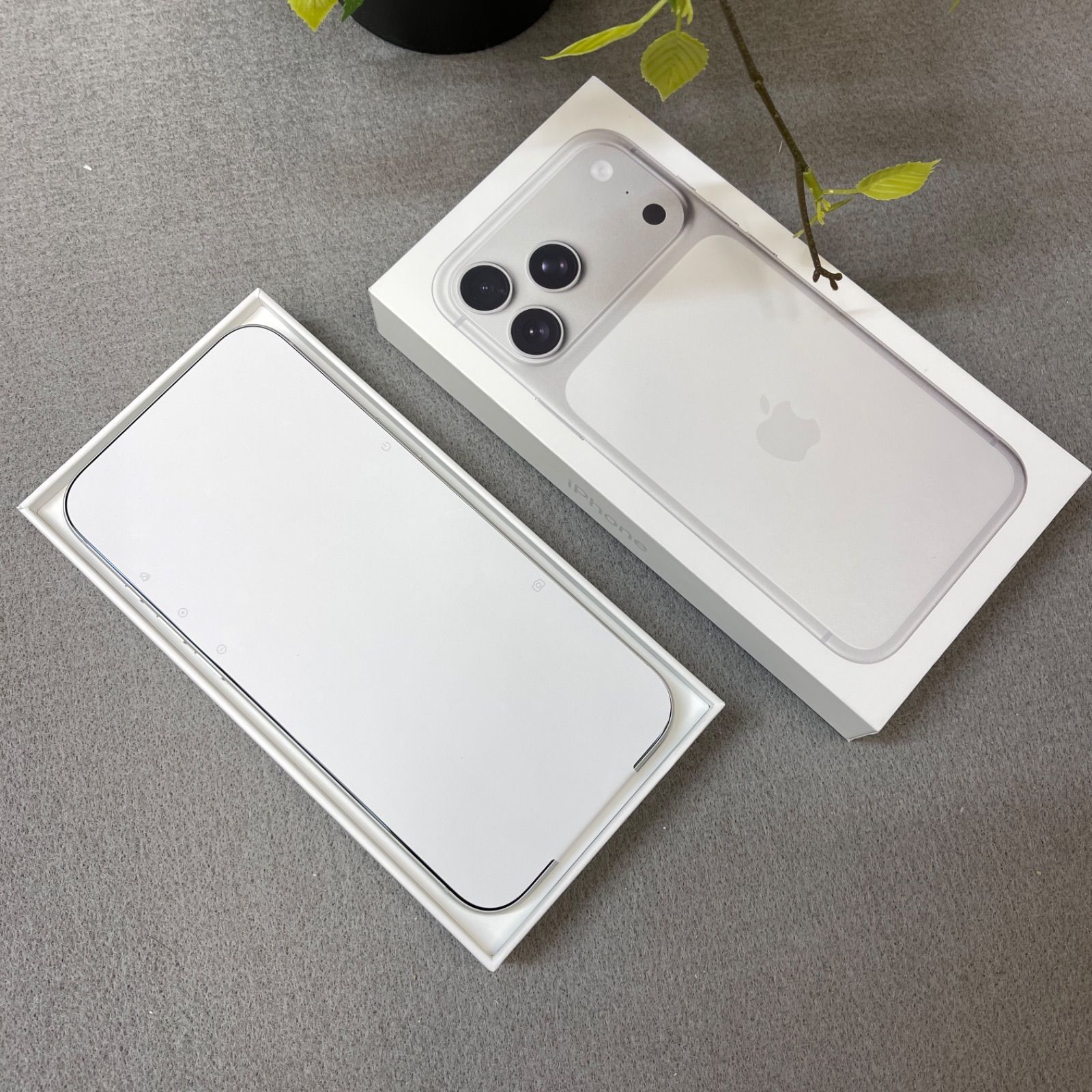 新品・未使用 iPhone17 ProMax 2TB シルバー 国内版 SIMフリー送料無料 
