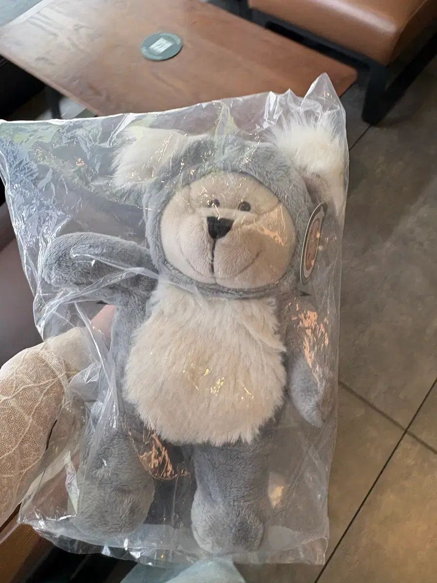 オーストラリア Starbucks コアラ Teddy Bear ぬいぐるみ 新品