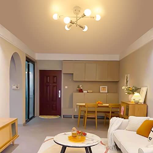 Hzfluo シャンデリア シーリングライト 6灯 E26 ペンダントライト 天井