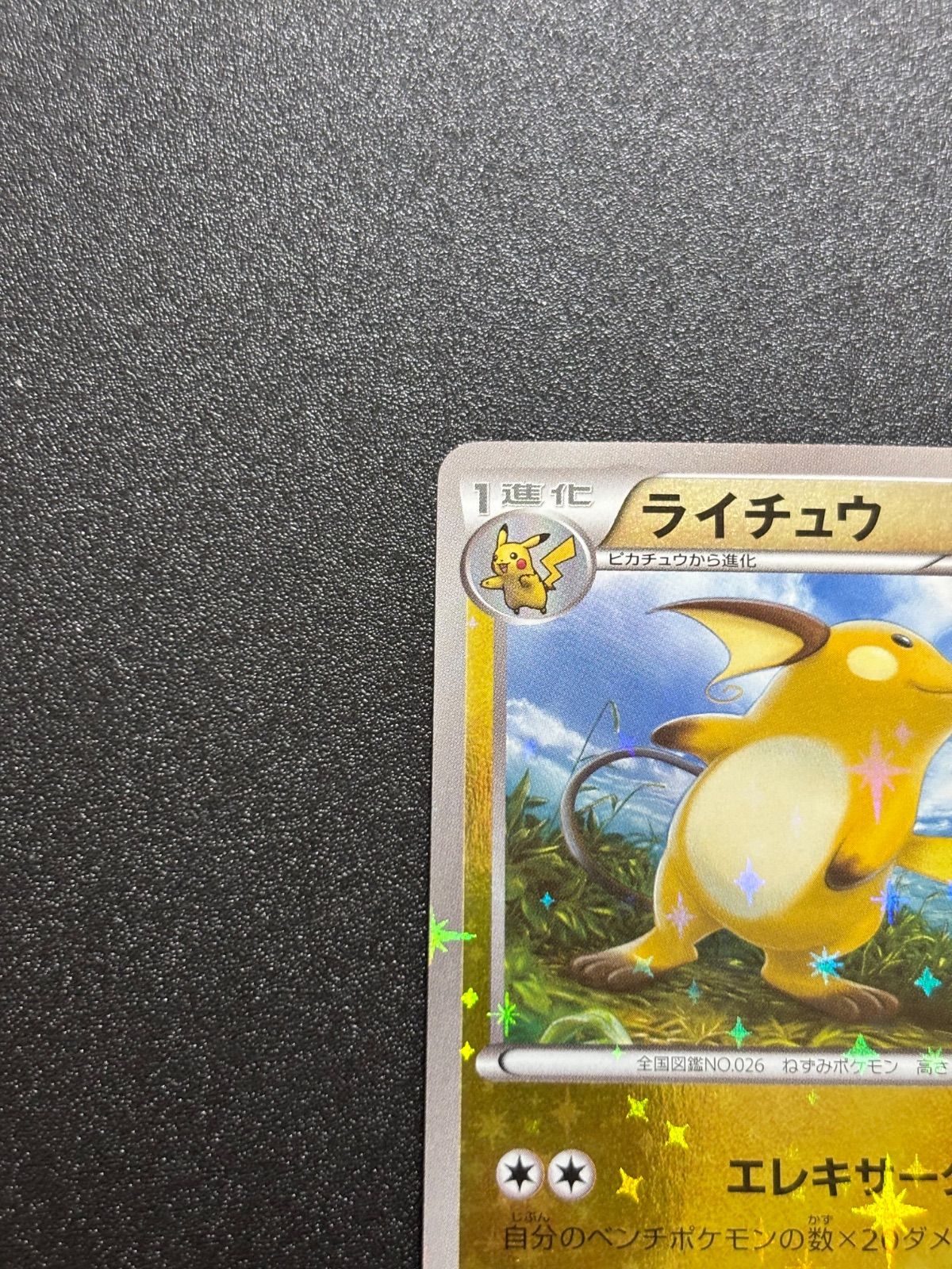 ライチュウ xy ミラー 良品 - メルカリ