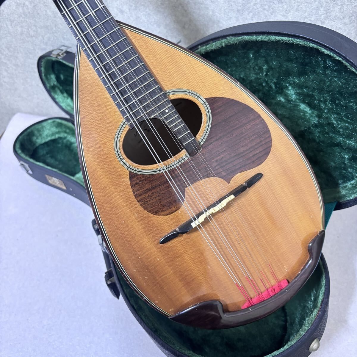 マンドリン SUZUKI M-80
