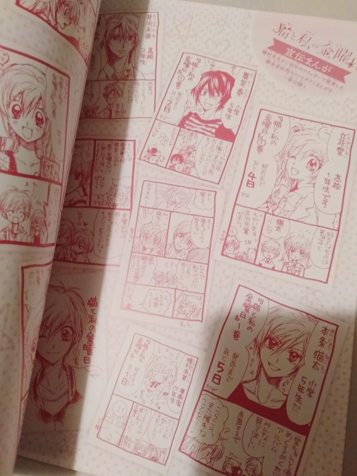 冊子のみ】猫と私の金曜日3.2 スペシャルイラスト＆キャラブック 種村