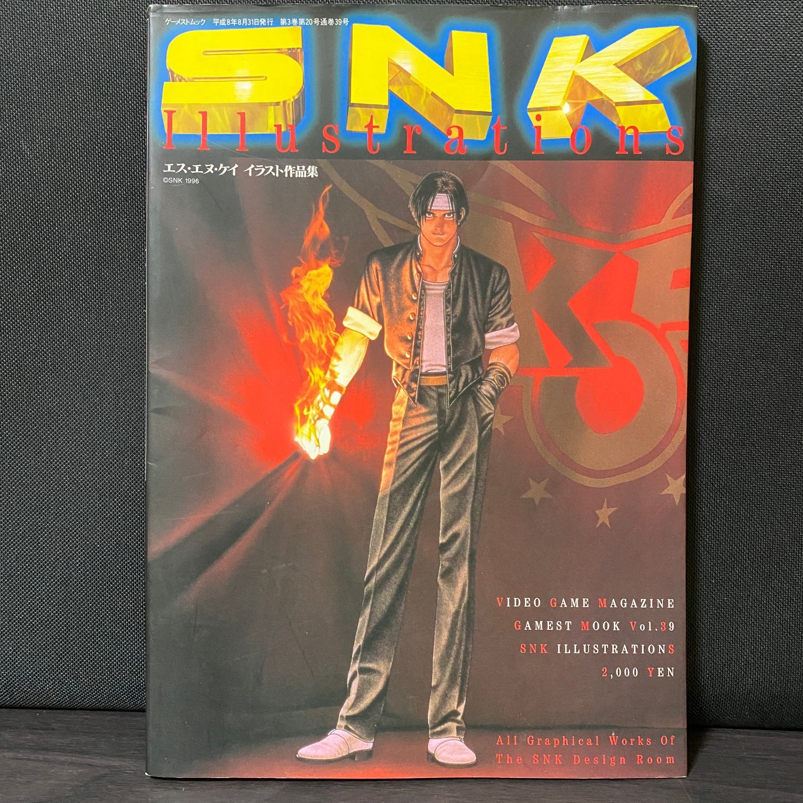 SNK Illustrations エス エヌ ケイ イラスト作品集 イラスト集 アート 