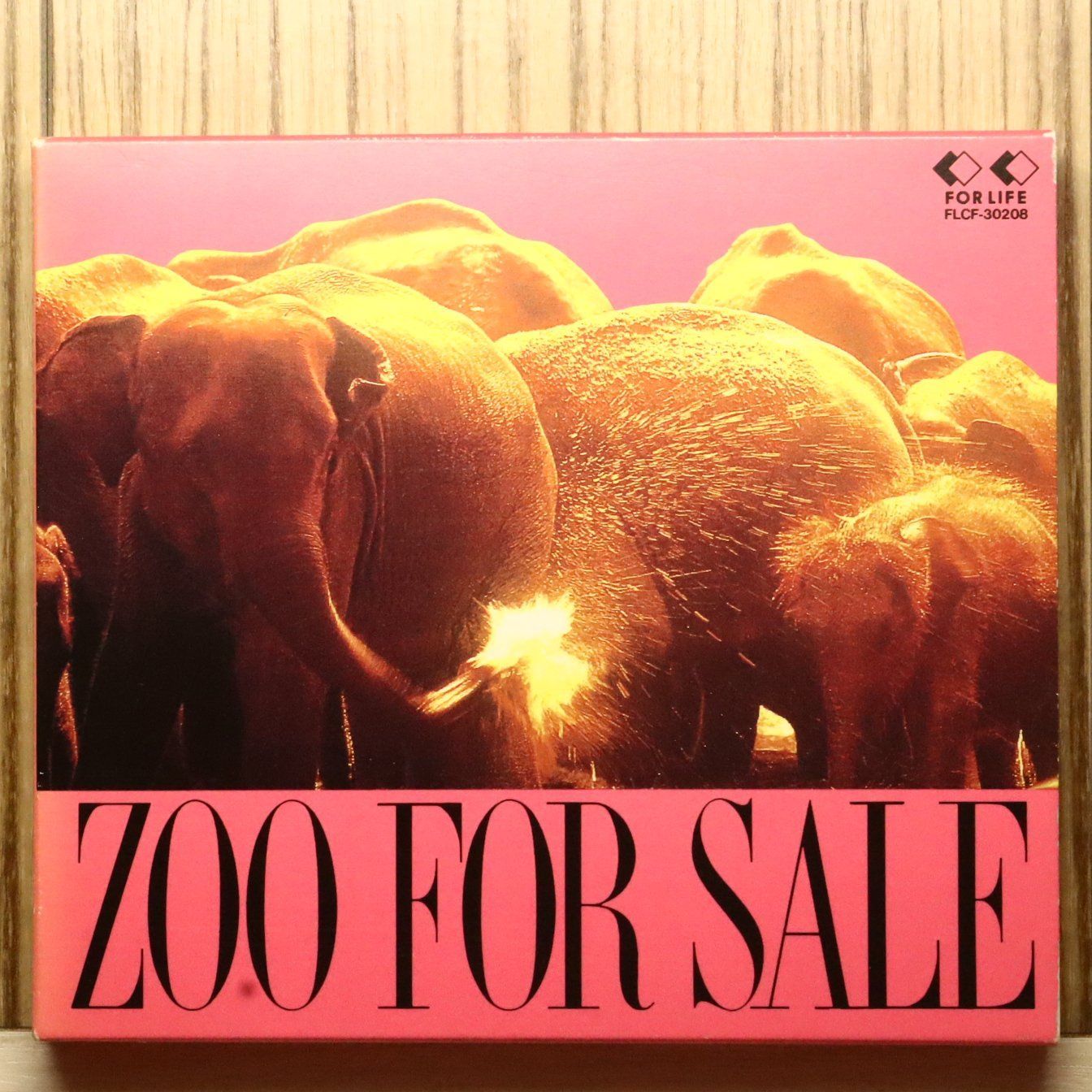 国内盤CD☆ズー/ZOO (Dance&Vocalユニット)□ FOR SALE 【FLCF30208