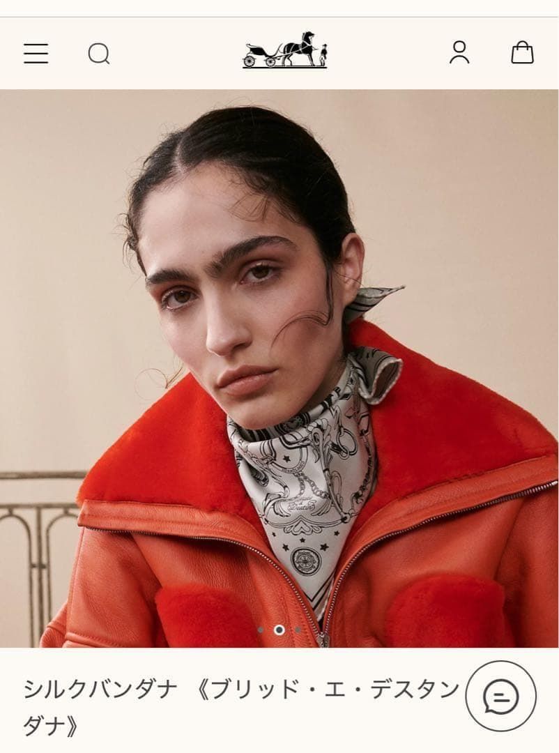 HERMESエルメス カレ55 ブリッドエデスタンバンダナ シルクスカーフ