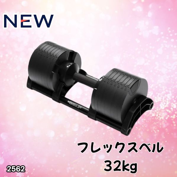 HelixMirror ダンベル 32kg オールブラック 片側のみ ライシン